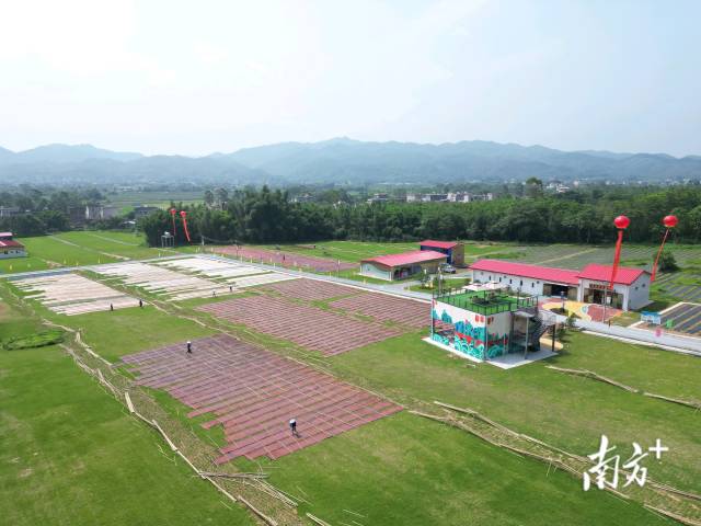 阳江实施“一镇一特色”创建行动,图为阳春市合水镇茶河村蚕桑香云纱产业生态农业示范园。