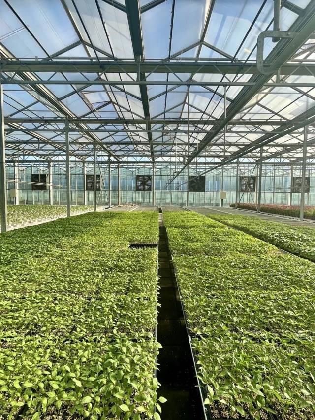 神舟绿鹏农业科技有限公司的温室育种大棚。