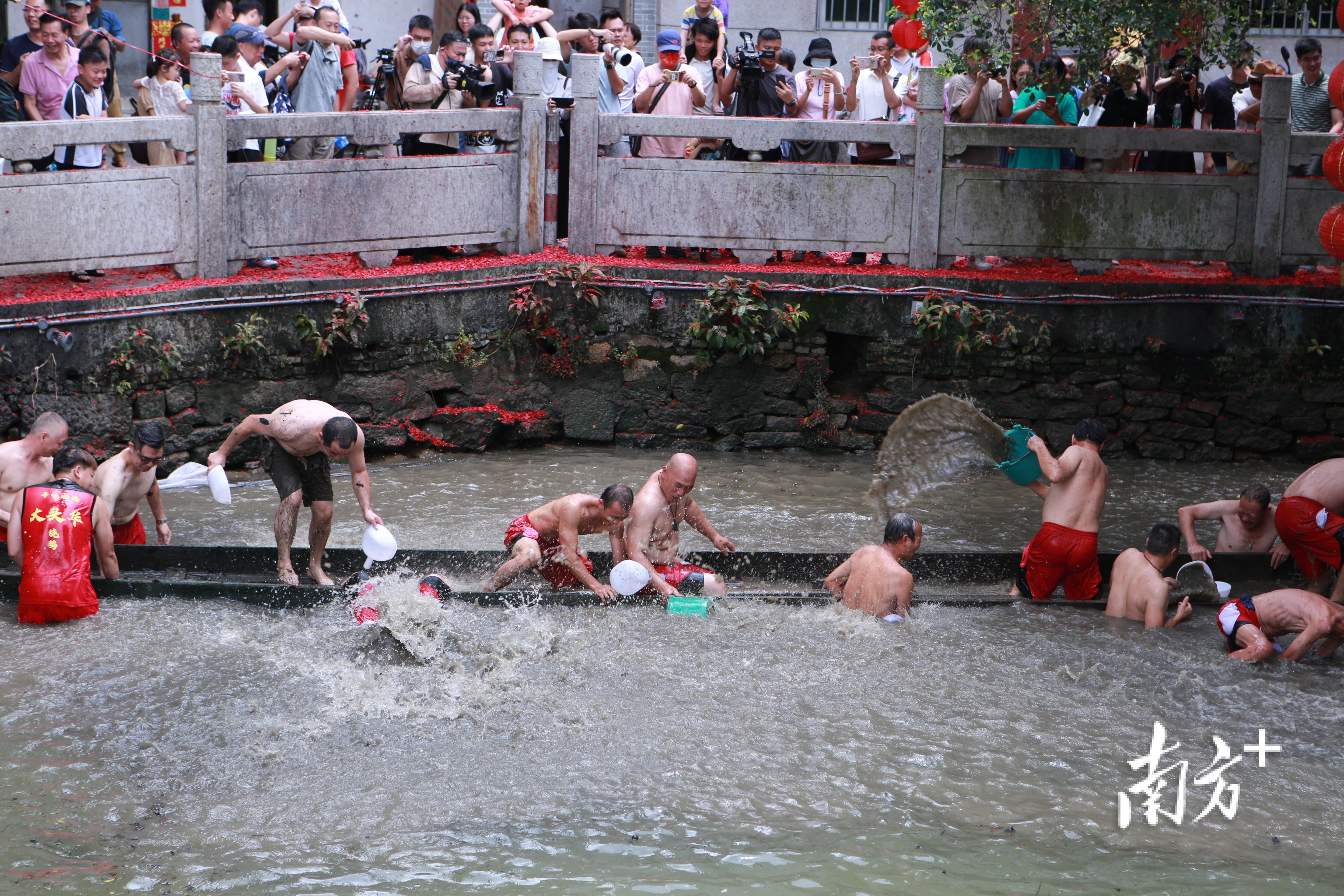 黄连起龙，勒流宣办供图。