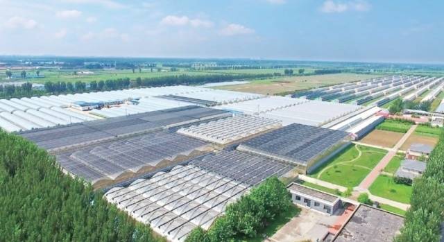 北京通州国际种业科技园区一隅，智能温室大棚连线成片。