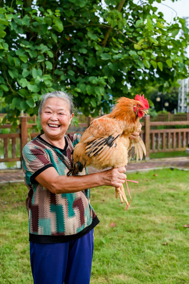 受訪者供圖