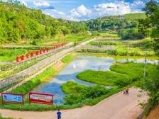 梅县区大坪镇：打造“架上金盆·秀美大坪”|竞跑百千万·梅县镇能量⑧