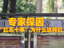 视频|专家探因，燕罗“红芯十事”为什么这样红？