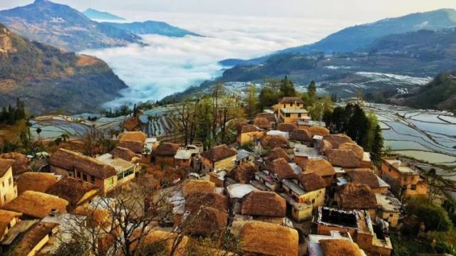 南方特稿｜揭秘阿者科计划：不靠招商引资，村民如何变身“万元户”？