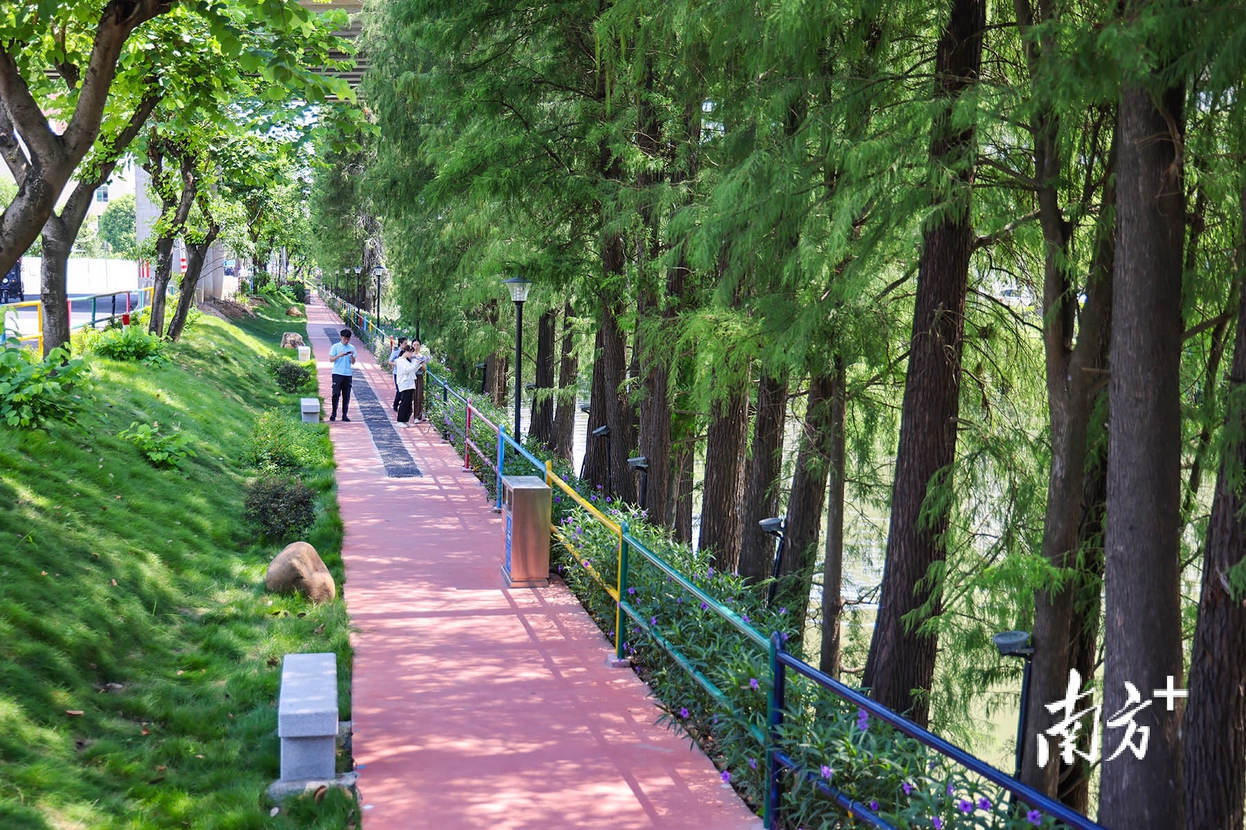 盛丰社区红星大道小公园。 盛丰社区红星大道小公园。