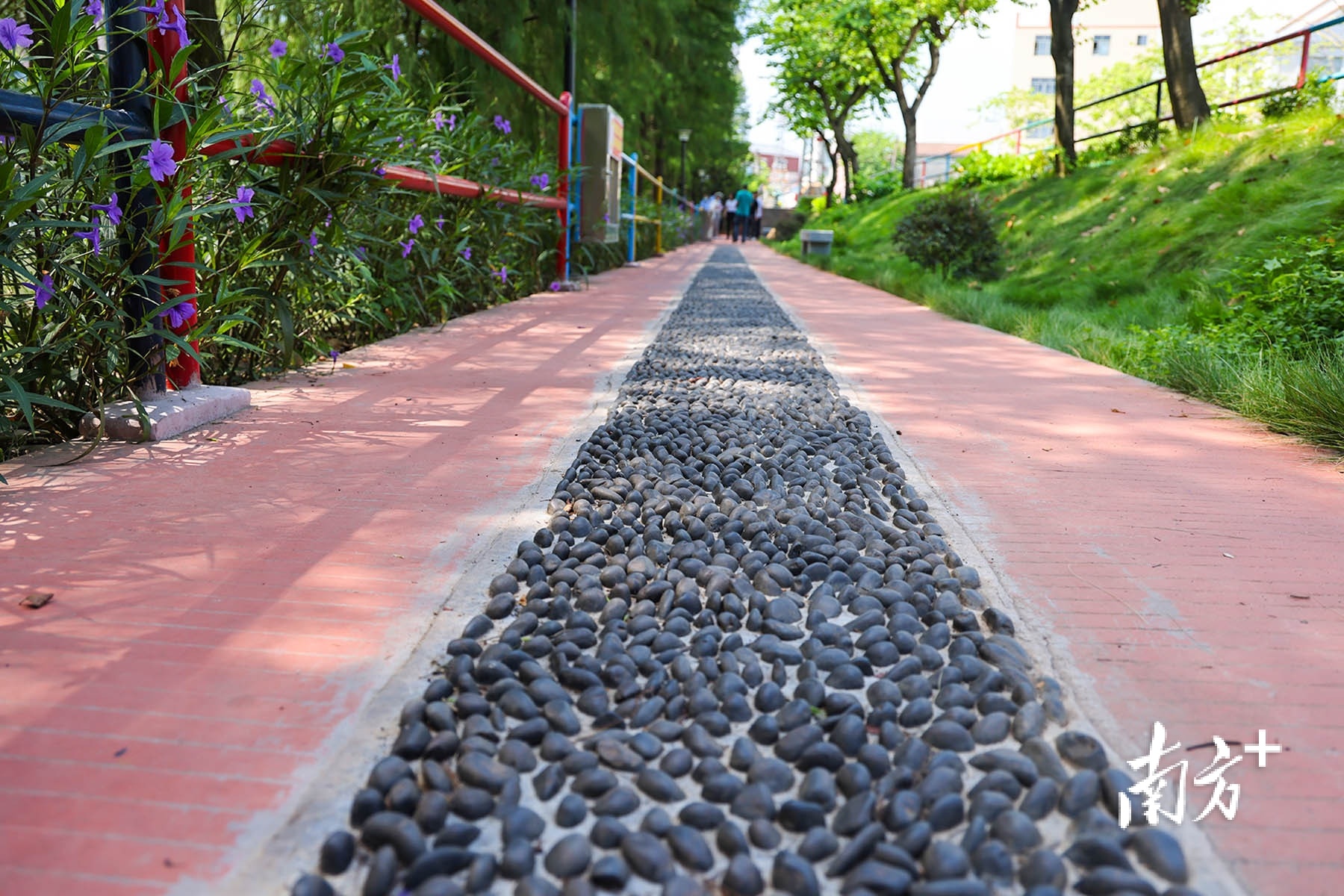 盛丰社区红星大道小公园。 盛丰社区红星大道小公园。