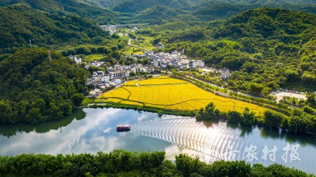 廣州從化區(qū)良口鎮(zhèn)米埗村美景