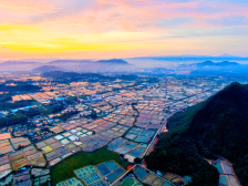 踔厉奋发！肇庆这样做强县镇村｜百千万 新突破