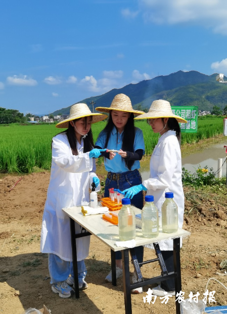 汪蕾副教授指导团队学生采样。