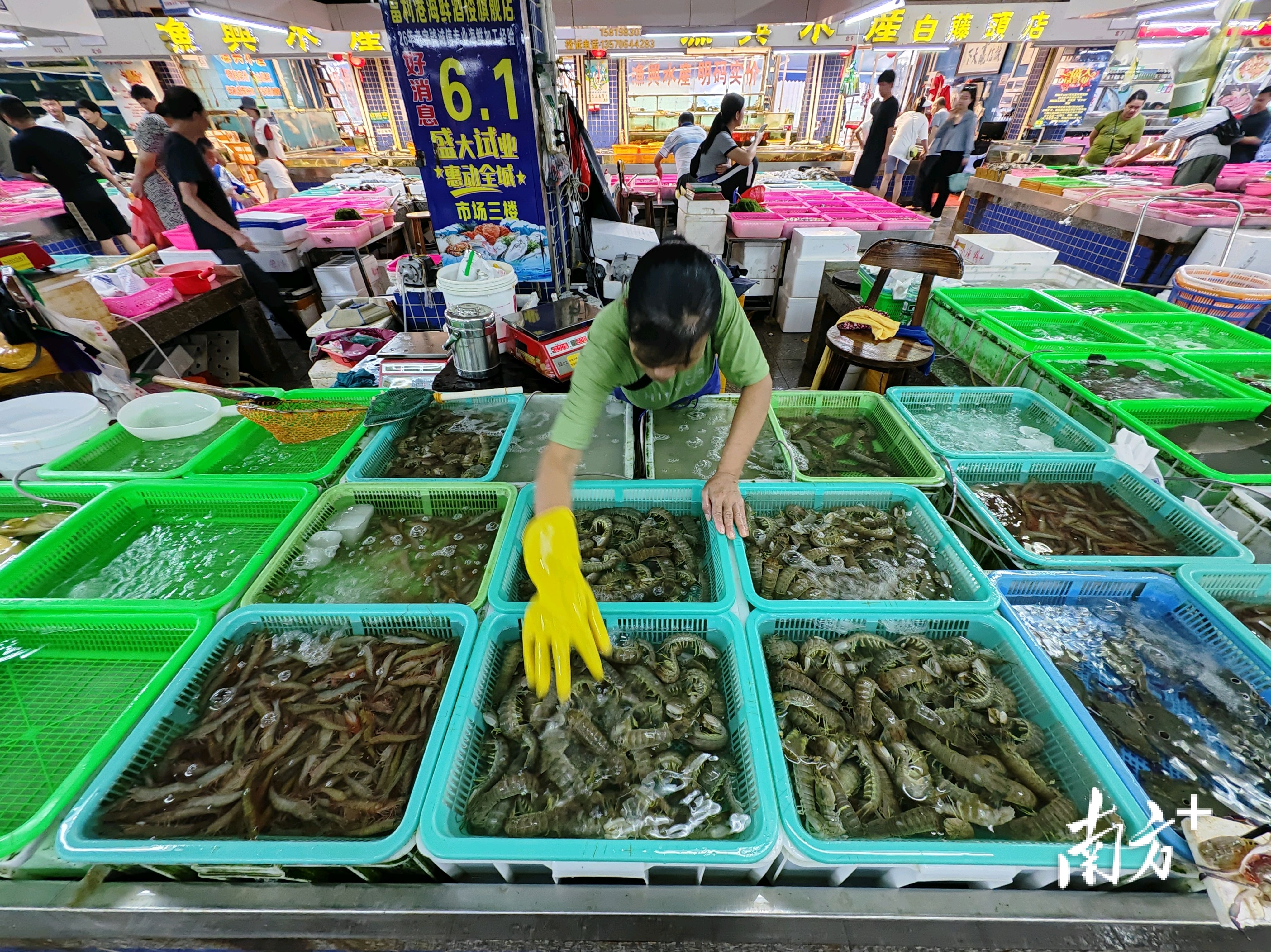 琳琅满目的海产品。 琳琅满目的海产品。