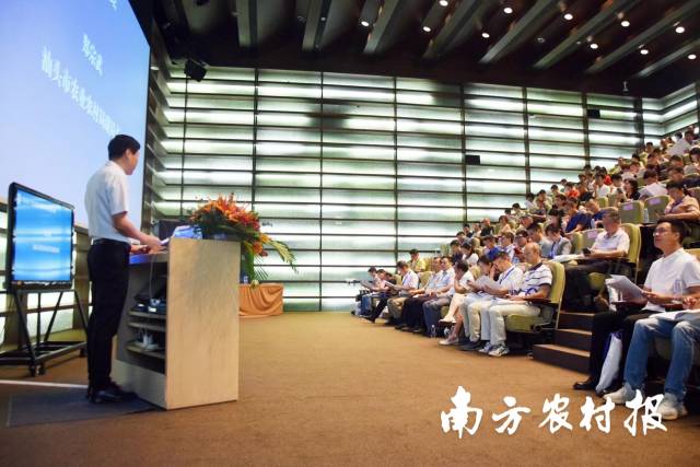 南方农村报 杨玲 拍摄