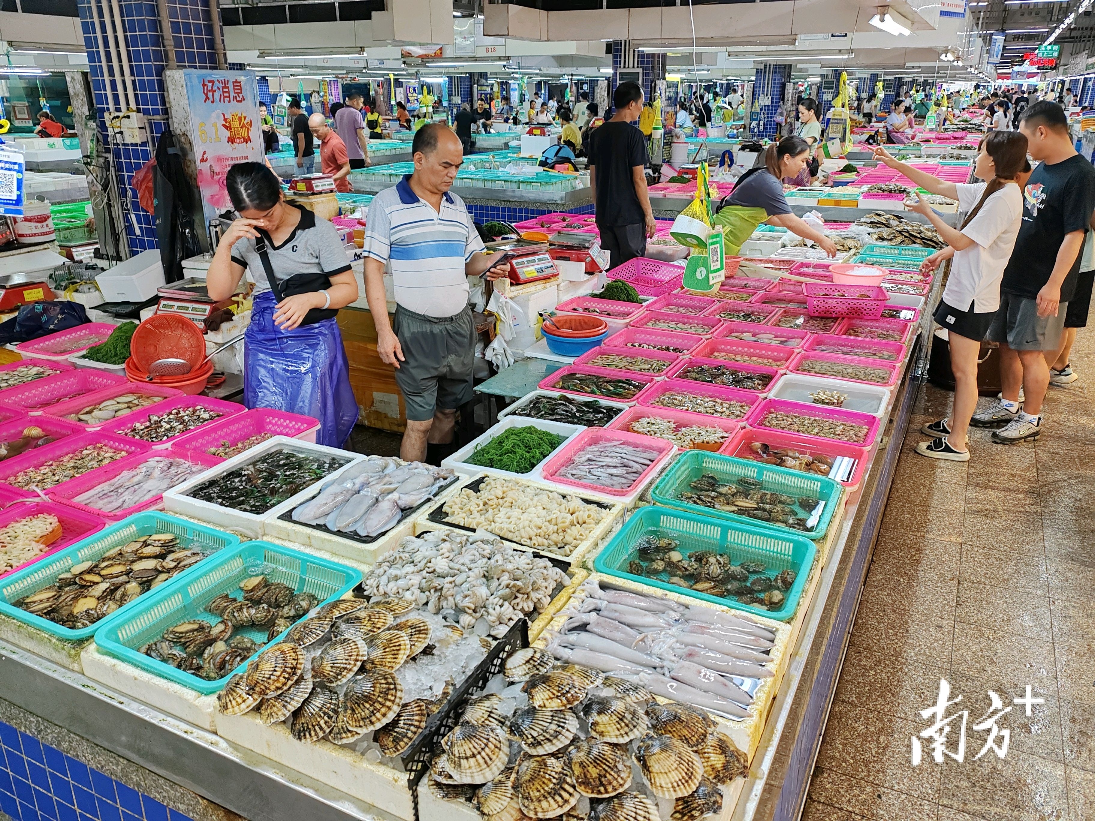 在白藤头海鲜批发市场,开渔季带来丰富的海产品。 在白藤头海鲜批发市场,开渔季带来丰富的海产品。