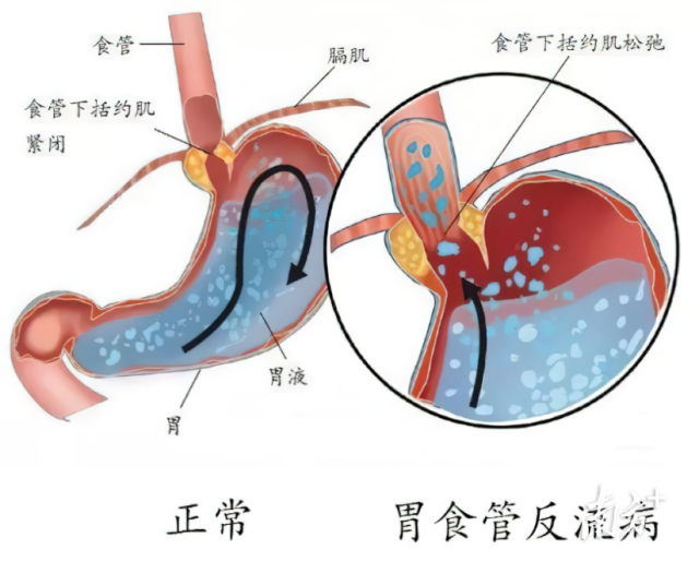 通讯员 二医 供图
