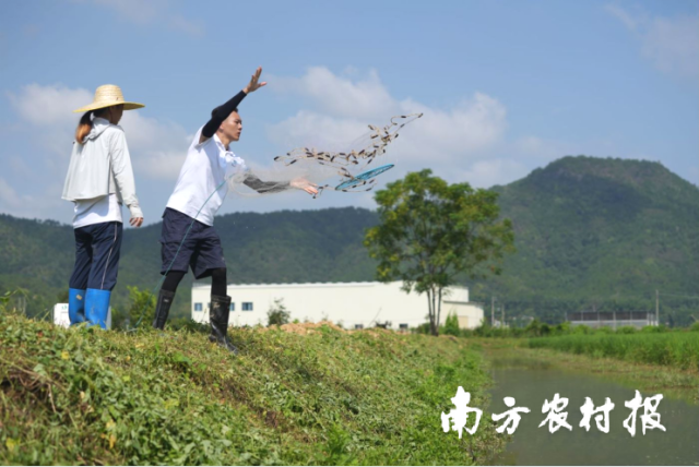 团队成员白天巡塘（照片来自羊城晚报）。