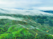 河源紫金：中国蝉茶交易中心9月中旬投入使用