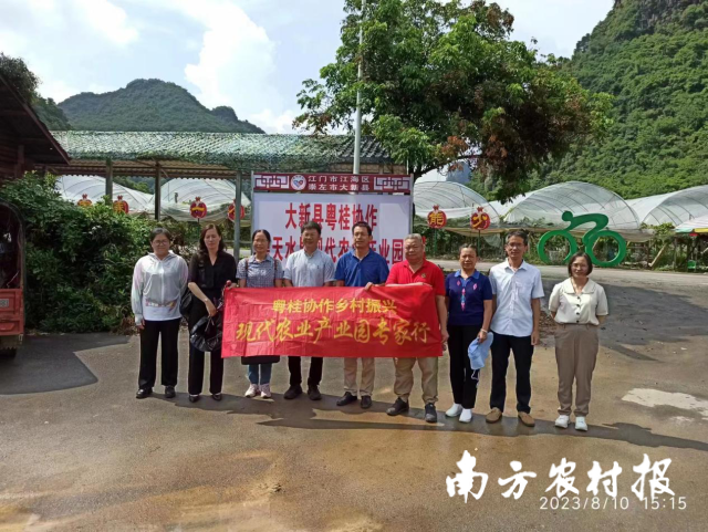 南方农村报 陈静 拍摄