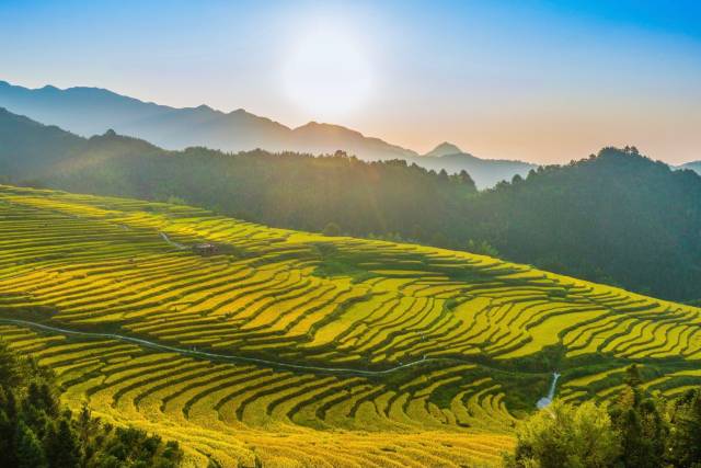 连山梯田（南方农村报记者 吴秒衡 摄）