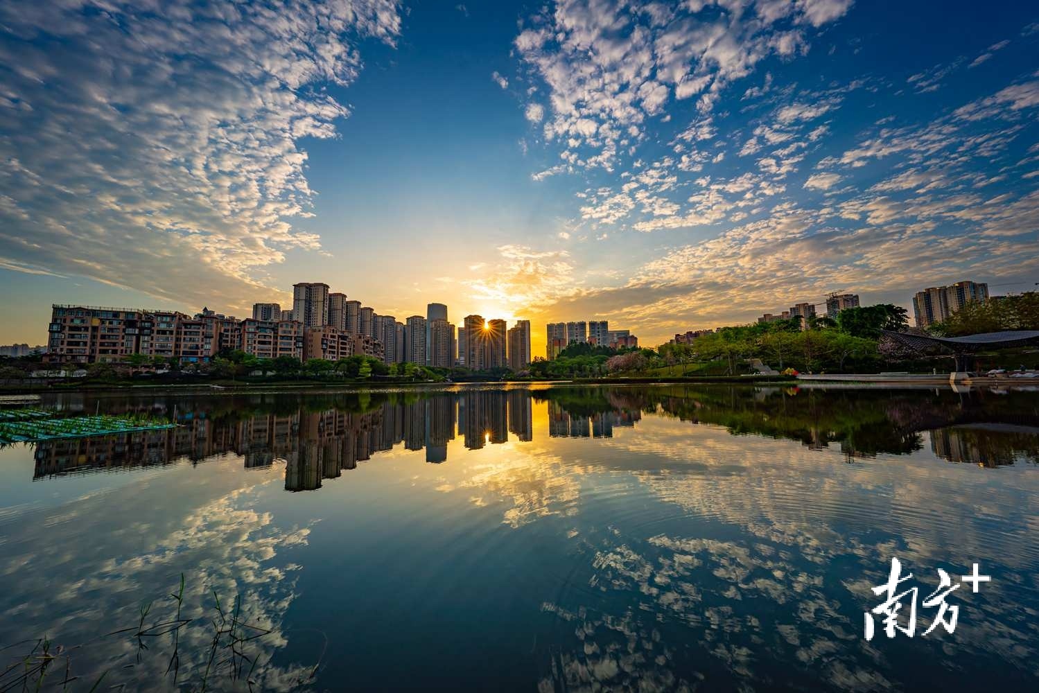 狮山博爱湖畔。