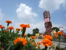 翰林湖畔，“老网红”如何展新颜？