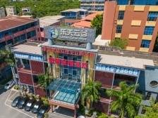 广州街力｜亩产从1元到破千万元，黄阁产业园区为什么能？