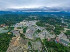 点赞！助力“百千万工程”，从化区五镇三街这样干