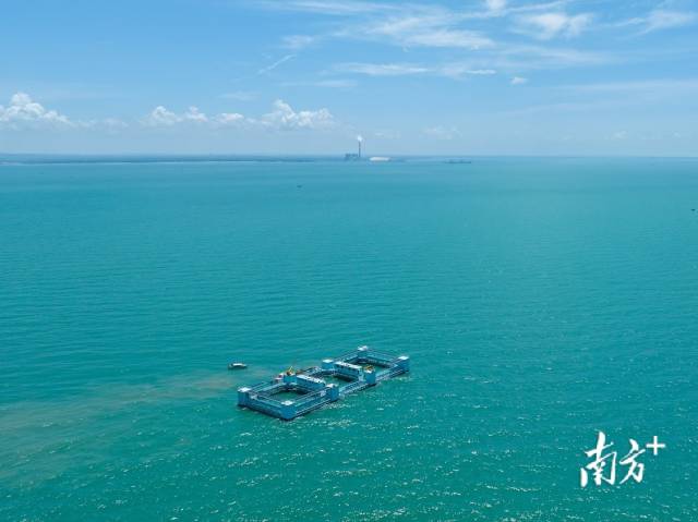 5年内全面建成“蓝色粮仓”,广东海产养殖走向“深蓝”_南方网