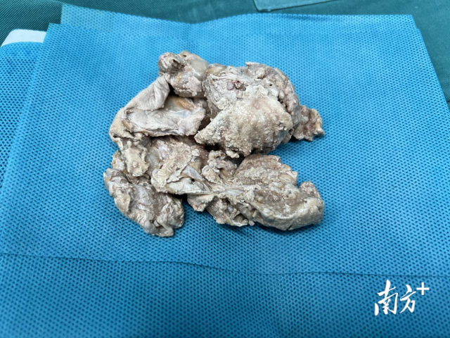 通讯员 三院 供图