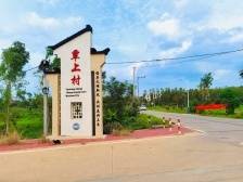 在美丽覃上“藕”遇红薯地