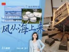 风从海上来！南方直播带你探访东莞这座网红博物馆