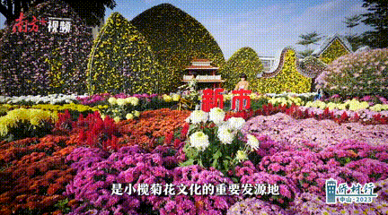 小榄新市社区。 南方+ 李姗恒 拍摄