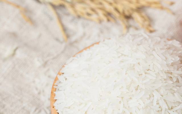 南方农村报 常秦 拍摄