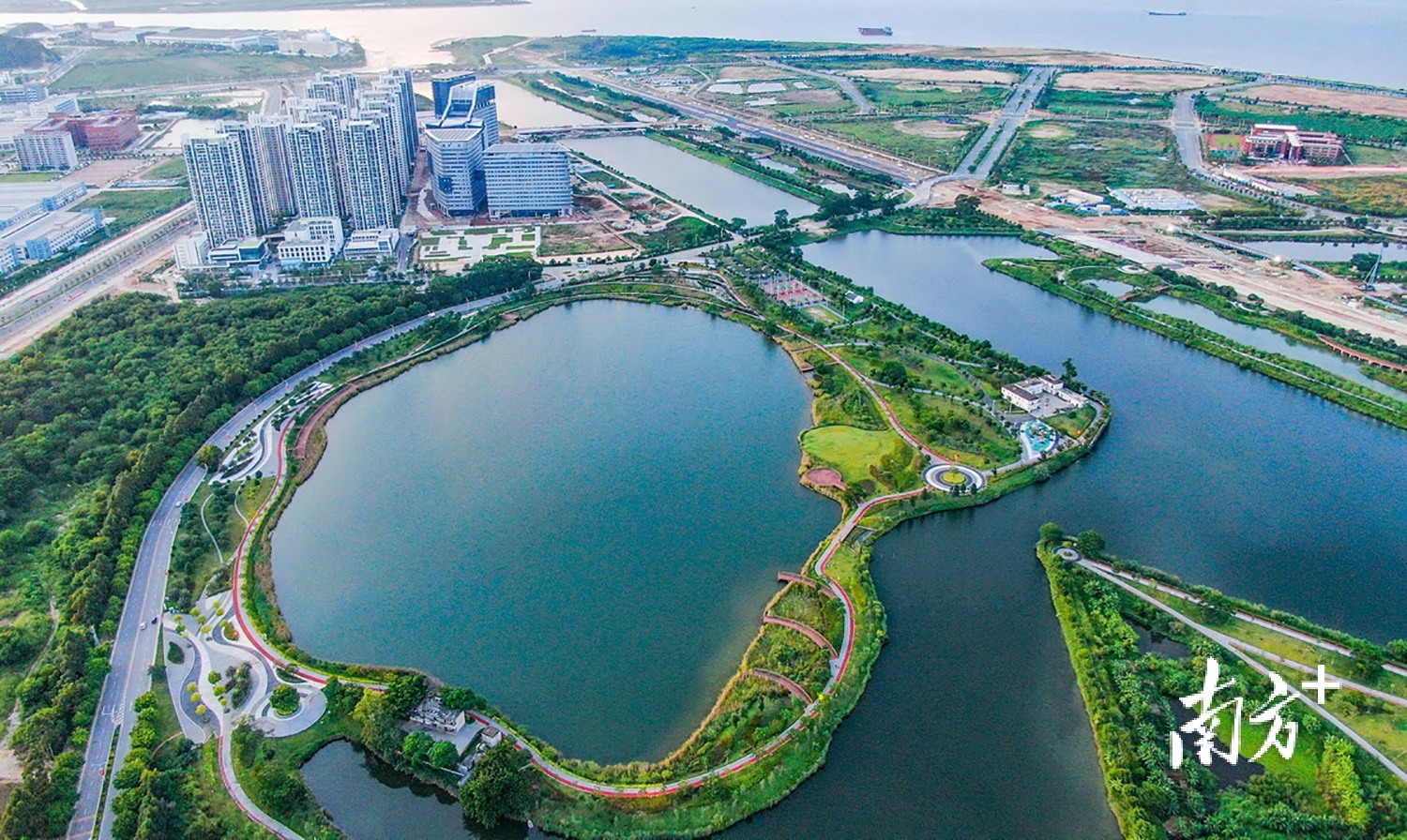 翠亨新区翠湖公园。 南方+ 卢子衡 拍摄 翠亨新区翠湖公园。 南方+ 卢子衡 拍摄