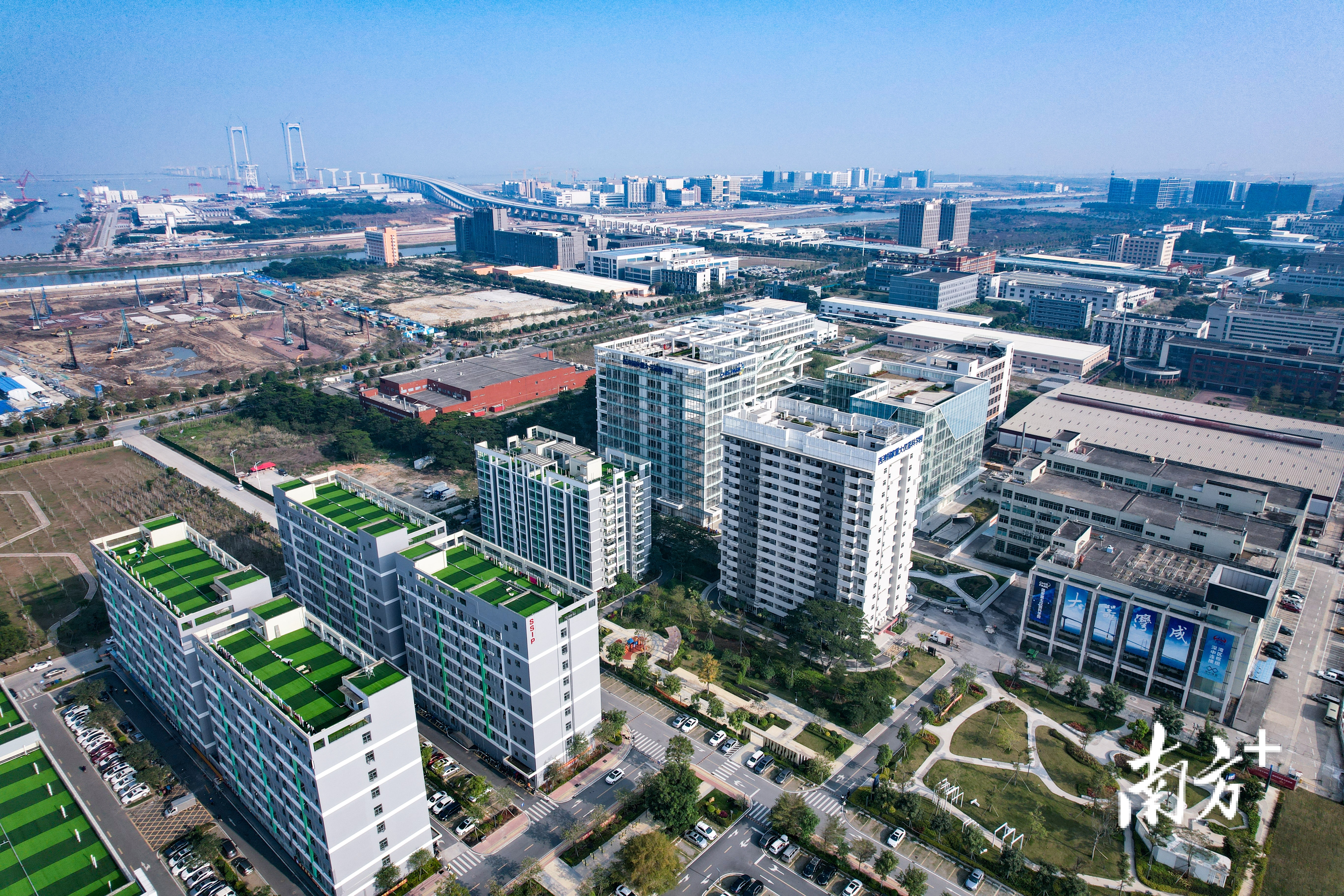 翠亨新区东片区(马鞍岛)。 南方+ 卢子衡 拍摄