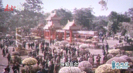 1979年小榄菊花会。 南方+ 李姗恒 拍摄