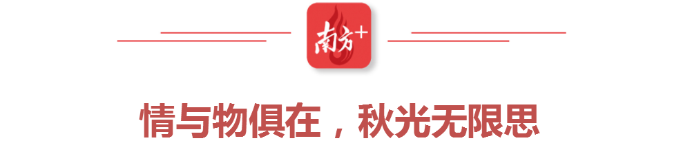 受访者供图