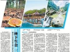 林下生金 三产并进｜速览《南方日报·潮州观察》第143期