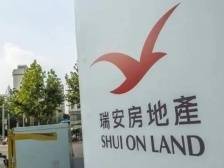 瑞安房地产净资产收益率为何低？｜冷眼看财报