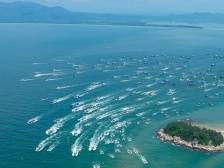 “蓝色金融”如何激活海洋牧场新动能？丨南粤耕海记⑤