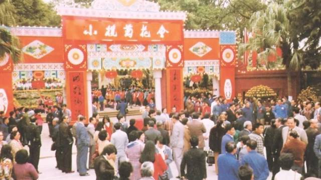 南方+视频｜新市菊展连侨心，一花引来万花开