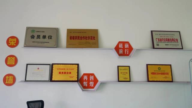 合作社所取得的荣誉（部分）