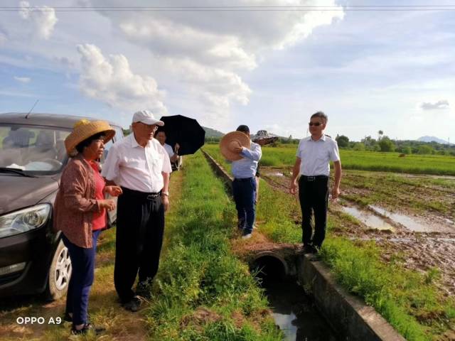 华南农业大学罗锡文（左二）团队赴郑兰芳（左一）种植基地开展技术指导