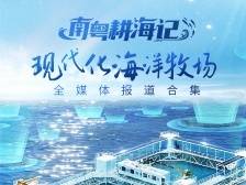 南粤耕海记——现代化海洋牧场全媒体报道合集
