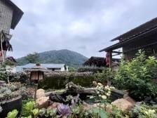 韶关曲江：“借力用力”推动镇村经济高质量发展