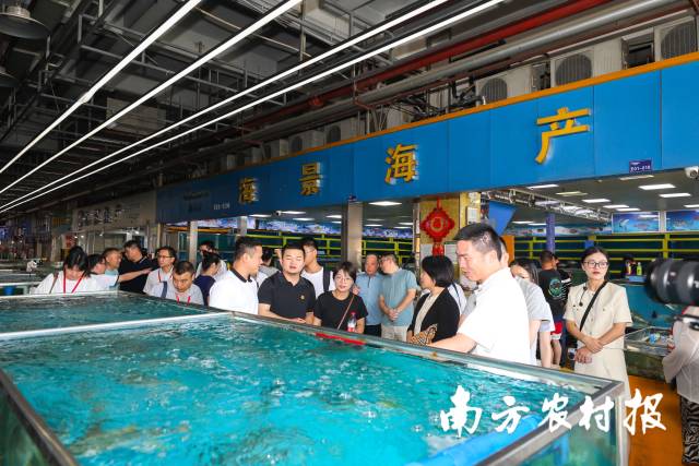 广东水产企业代表在成都水产市场考察。