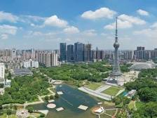 深圳启示录：国资赋能专精特新，难而正确的事｜制造业当家 冠军再跃迁