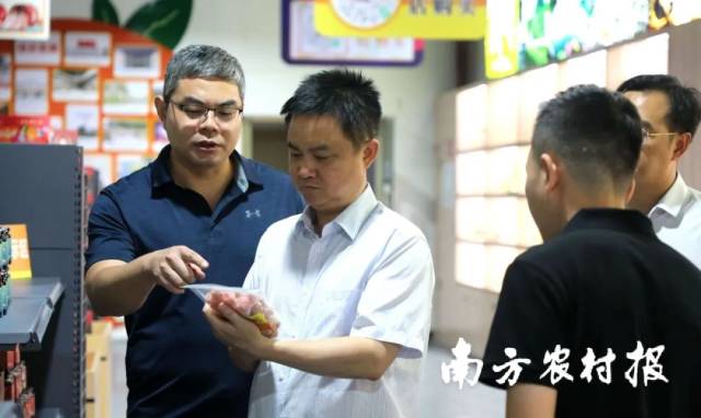 8月24日，广东省湛江市政府党组成员、副市长吴国雄（左二）到广西融安蚂蚁农业发展有限公司实地调研，融安县委副书记、县长于福坚（左一）陪同 