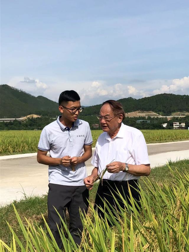 王键宽（图左）与中国工程院院士罗锡文在万绿智慧无人农场示范基地察看“航天稻”的长势和病虫害绿色防控情况。