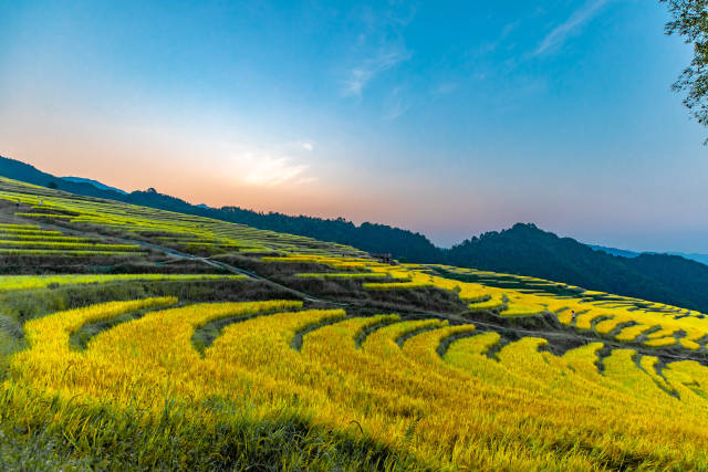 连山欧家梯田景区