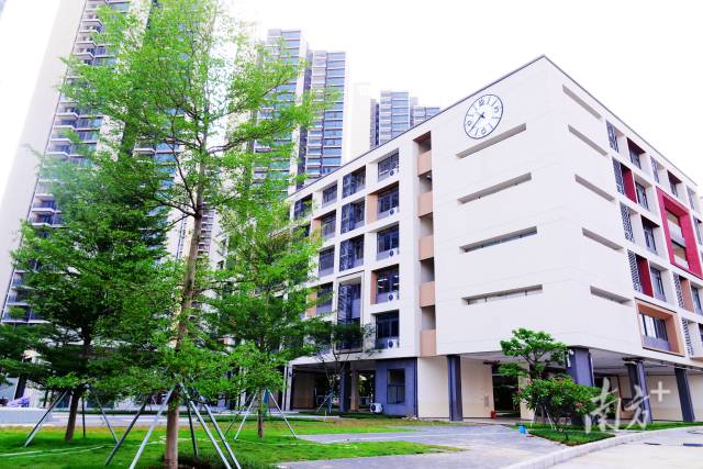 映月小学.资料图片