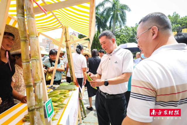 游览湴湄村乡村便民墟市
